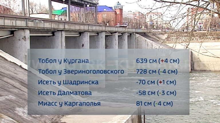 Тв кварц подольск новости сегодня видео онлайн