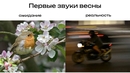 Категория имеет значение: кому на мопед, а кому — на мотоцикл?