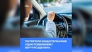 Потеряли водительское удостоверение? Вот что делать