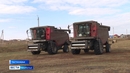В Курганской области аграрии завершают уборочную кампанию