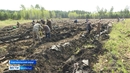 Депутаты Курганской областной думы высадили саженцы сосен 