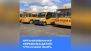 Организованная перевозка детей: что нужно знать