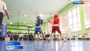 В Кургане прошли решающие поединки чемпионата и первенства области по боксу